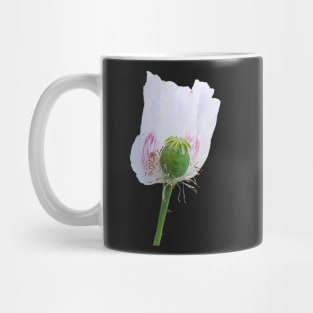 White Poppy Flower Mug